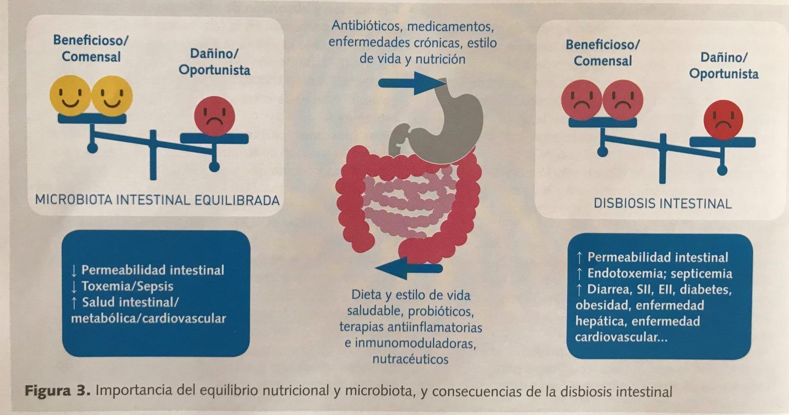 osteopatía y microbiota