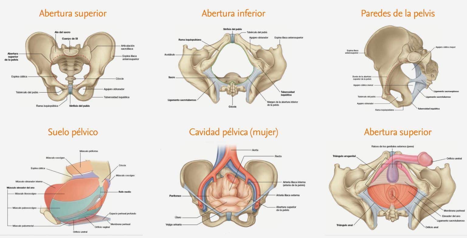 fisioterapia ginecológica
